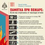 Фотодокумент 39